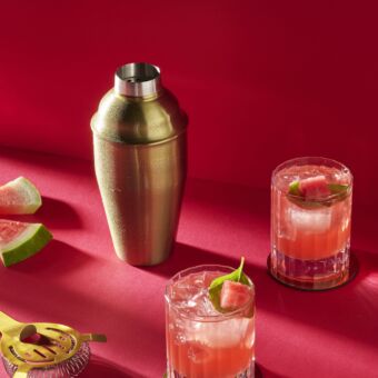 Watermelon Syrup 002 Portrait