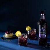 Arkadia blueberry syrup drink dessert 1