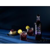 Arkadia blueberry syrup drink dessert